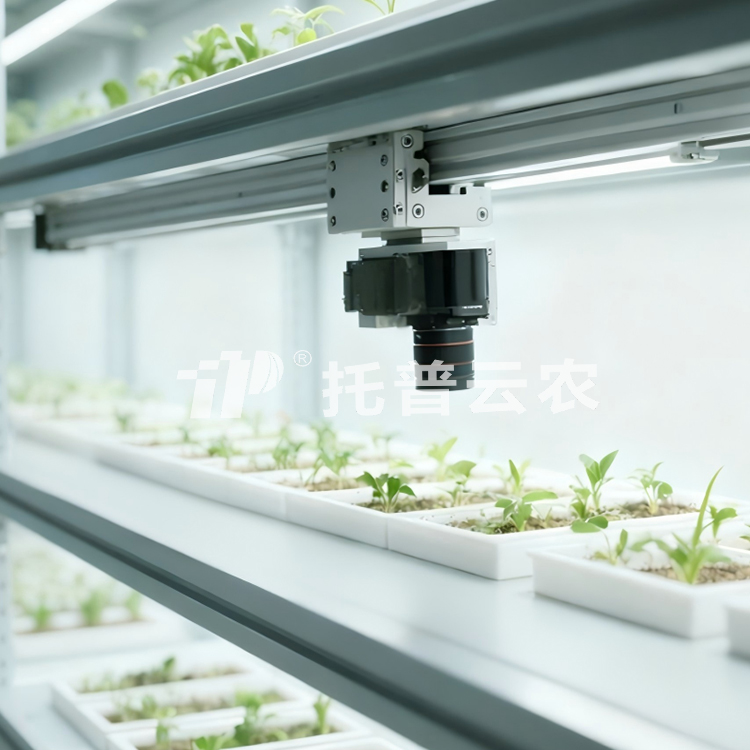 人工氣候室植物表型監測系統
