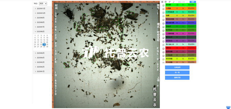 2. AI識別 自動計數_副本.png
