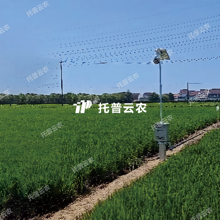 96c4a3ad98cebb83b5a30c375a0996ed_1750735729468597.png